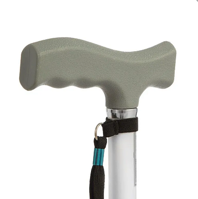 картинка Трость Dayang Medical TS712 от интернет-магазина Ортимед